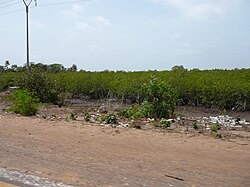 Banjul, the capital city of Gambia, serekunda highway