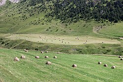 Landscape in Andorra, entre coll d ordino e canillo