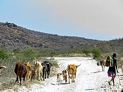 Landscape in Angola, pungo andongo malange