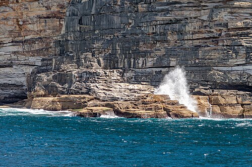 Landscape in Australia, sydney au coast fur seals