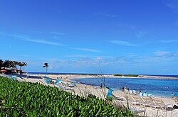 Landscape in Bahamas, paradise island one beautiful gardens