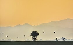 Landscape in Bangladesh, village