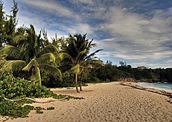 Landscape in Barbados, karibik farley hill house park panoramio