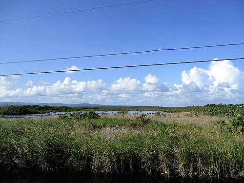 Landscape in Belize, paisatge prop de hopkins