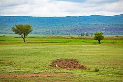 Landscape in Burkina Faso, paysage naturel de karfiguela