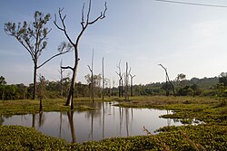 Landscape in Cambodia, mondul kiri