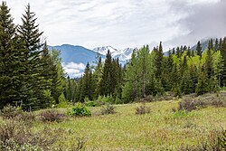 Landscape in Canada, banff national park ab bankhead lower bankhead