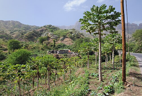 Landscape in Cape Verde, santiago isle papaya