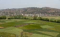Landscape in China, yunnan farmer his grainfield