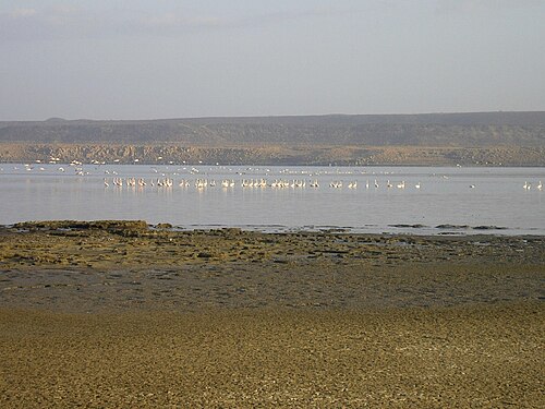 Landscape in Djibouti, panoramio
