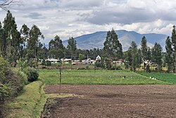 Landscape in Ecuador, oyambaro agri