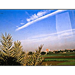 Landscape in Egypt, s yields