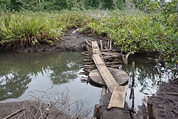 Landscape in Equatorial Guinea, sampaka cacao plantation