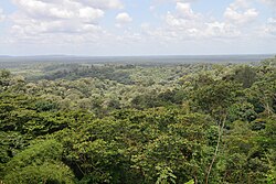 Landscape in French Guiana, tropical forest towards cacao