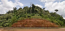 Landscape in French Guiana, tropical soil