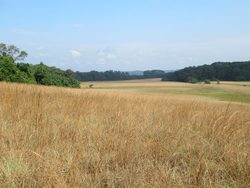 Landscape in Gabon, savannah grasslands