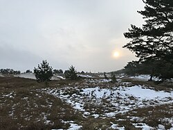 Landscape in Germany, dune with sun
