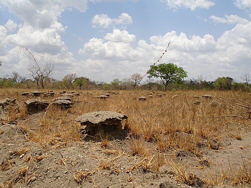 Landscape in Guinea