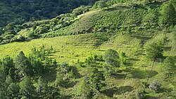 Landscape in Honduras, montañas en