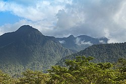 Landscape in Honduras, pico bonito