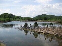Landscape in Jamaica, negril