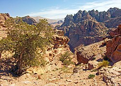 Landscape in Jordan, jabal ad dayr plateau petra