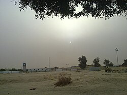 Landscape in Kuwait, bushes lights al shaheed park