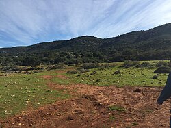Landscape in Libya, satyea