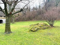 Landscape in Liechtenstein, lie balzers kirchensträssle