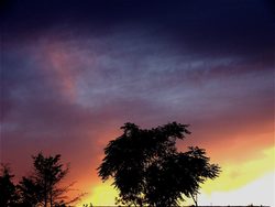 Landscape in Malta, sunset