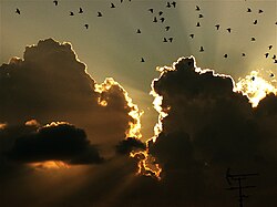 Landscape in Malta, freedom sky
