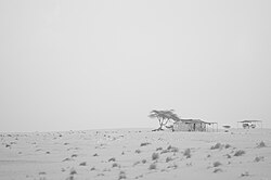 Landscape in Mauritania, farm cart countryside
