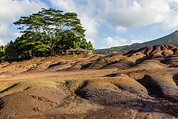 Landscape in Mauritius, nature