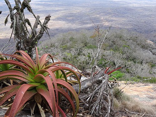 Landscape in Mozambique, summit mt yokolo
