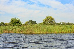 Landscape in Netherlands, giethoorn bovenwijde