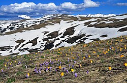 Landscape in North Macedonia, ar mountains malet e sharrit ar planina