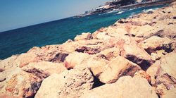 Landscape in Palestine, jaffa