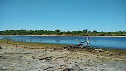 Landscape in Paraguay, laguna en el chaco