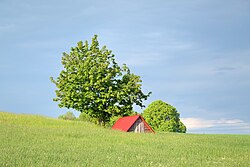 Landscape in Poland, near szypliszki