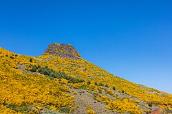 Landscape in Portugal