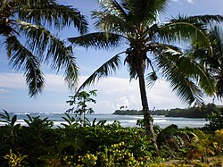 Landscape in Samoa, tafua peninsula savai i august