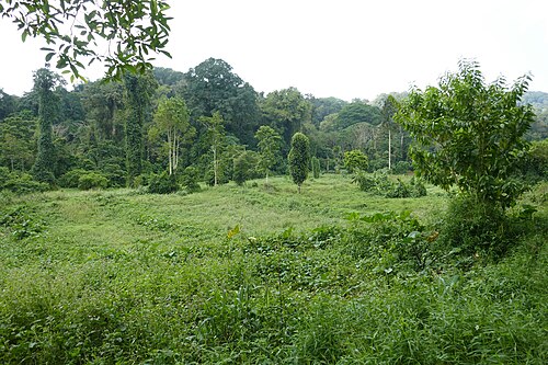 Landscape in São Tomé and Príncipe, paysage à tomé