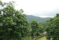 Landscape in São Tomé and Príncipe, paysage à joão dos angolares tomé