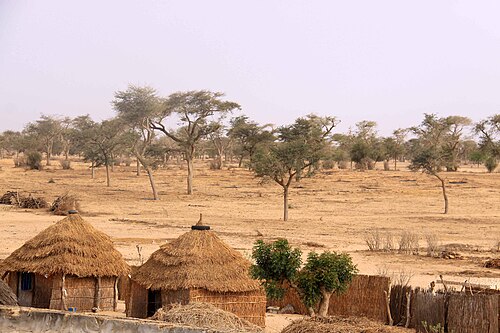 Landscape in Senegal, panorama presahariano