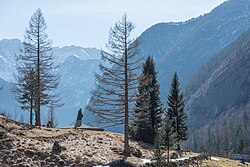 Landscape in Slovenia