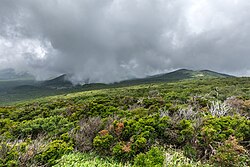 Landscape in South Korea
