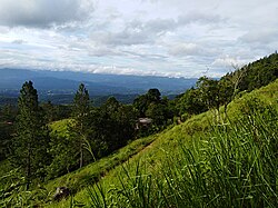 Landscape in Sri Lanka, haputale tea plantations fog