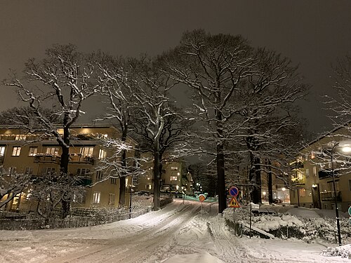 Landscape in Sweden, ekhagen stockholm february