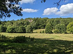 Landscape in Sweden, meadow south western
