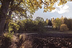 Landscape in Sweden, beautifyl early autumn